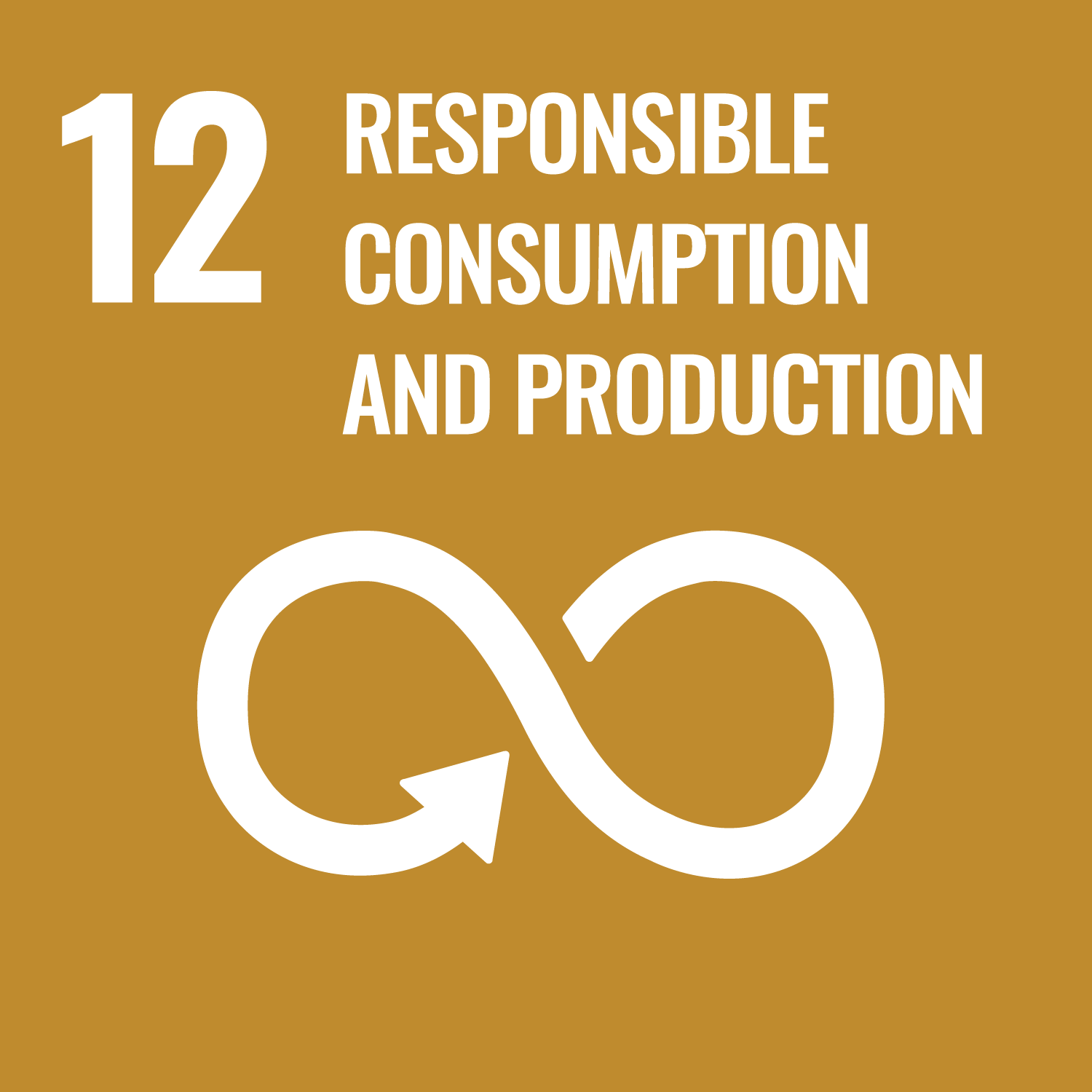 SDG 12: Sustainable Cities and Communities
