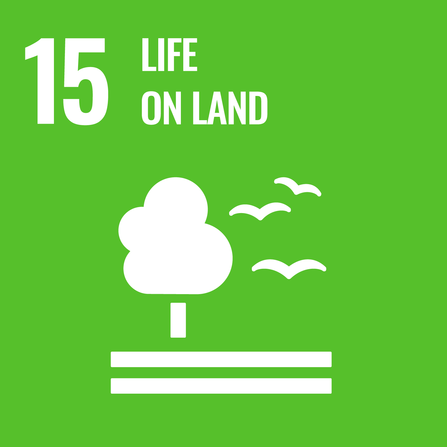 SDG 15: Life Below Water